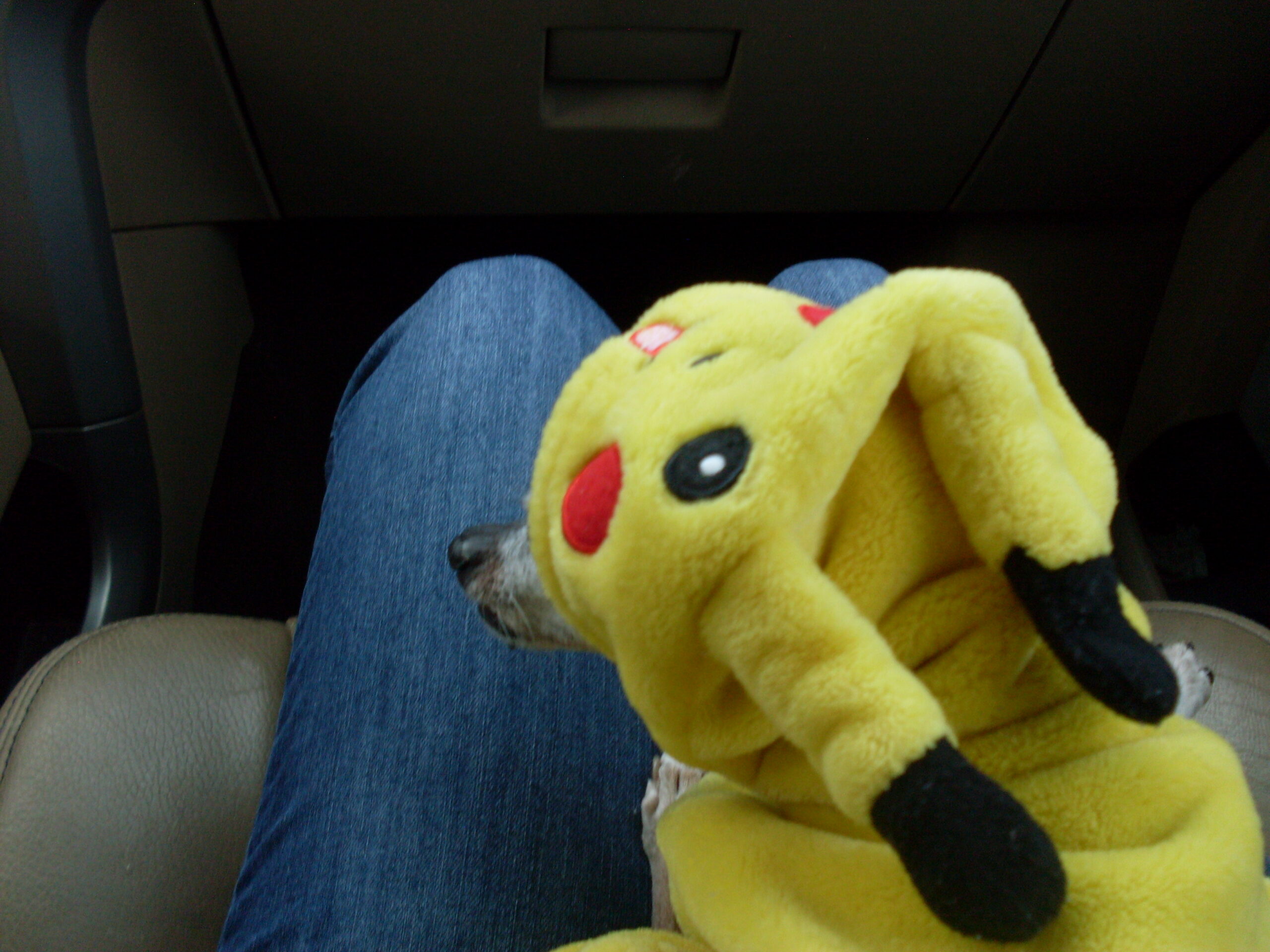 Chrome Text Effects: Animated Metallic Typography