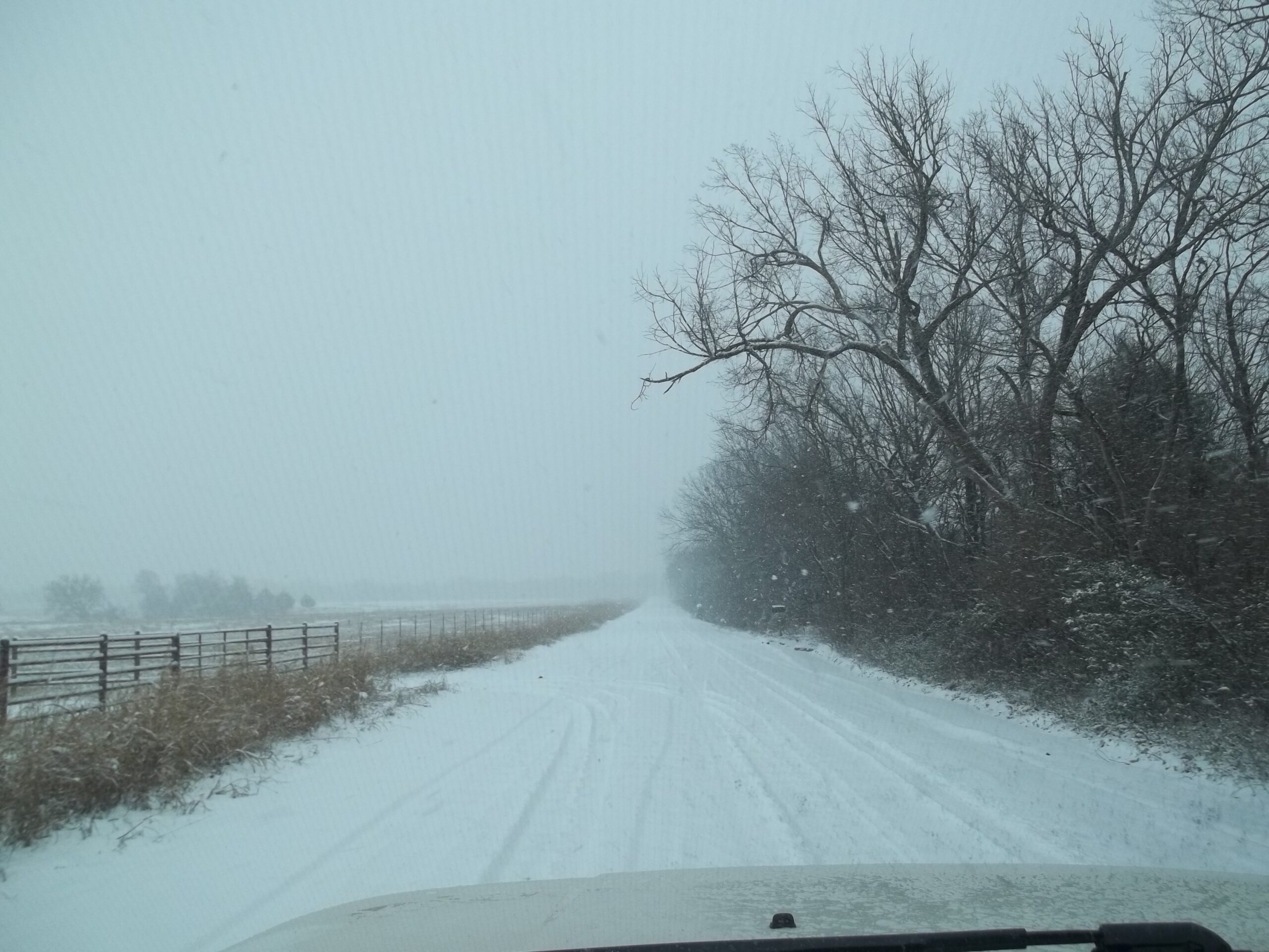 49 Color Presets: Find Your Perfect Aesthetic