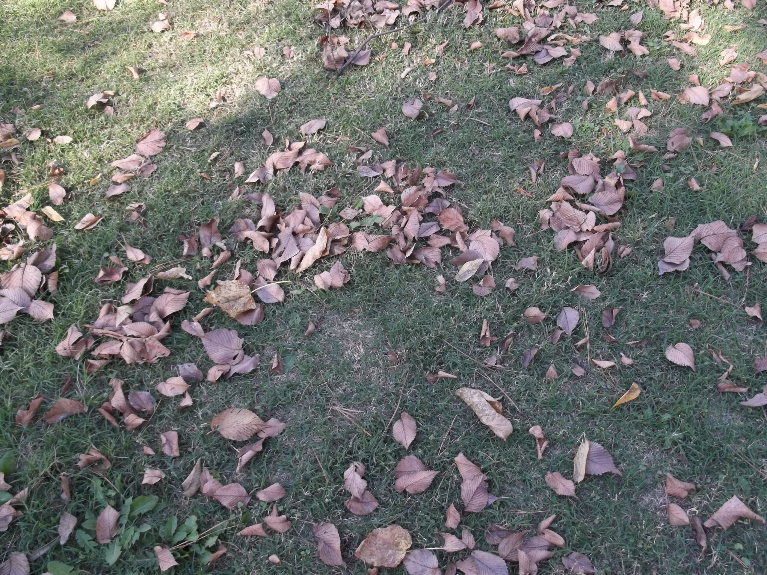 Moonprism First Blog Post