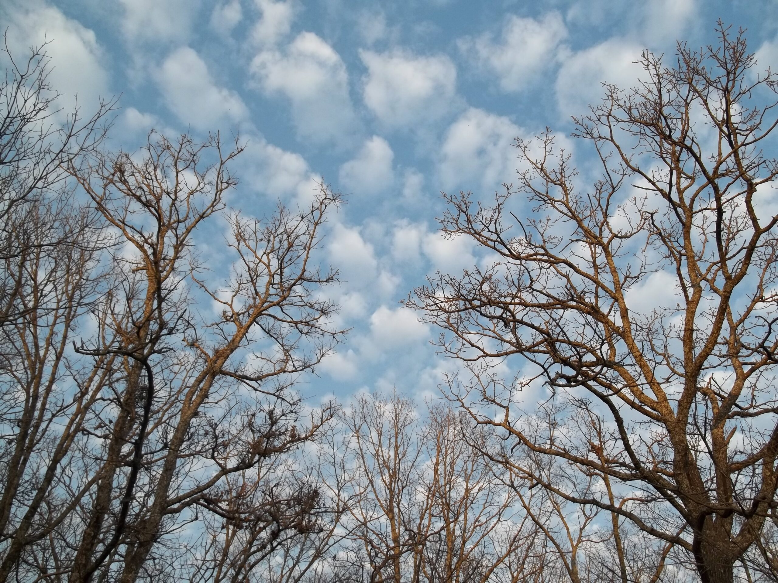 Chrome Text Effects: Animated Metallic Typography