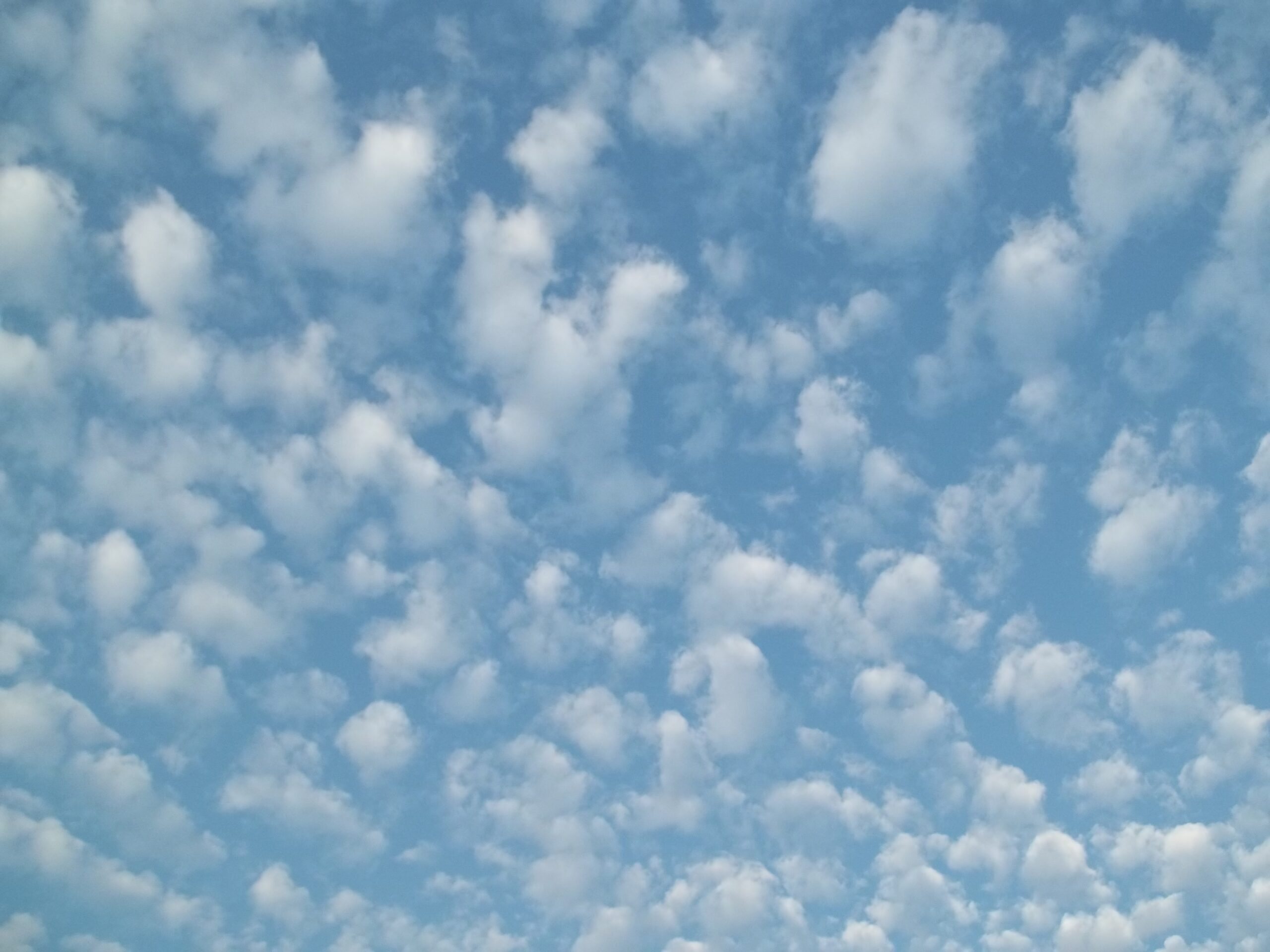 Moonprism First Blog Post