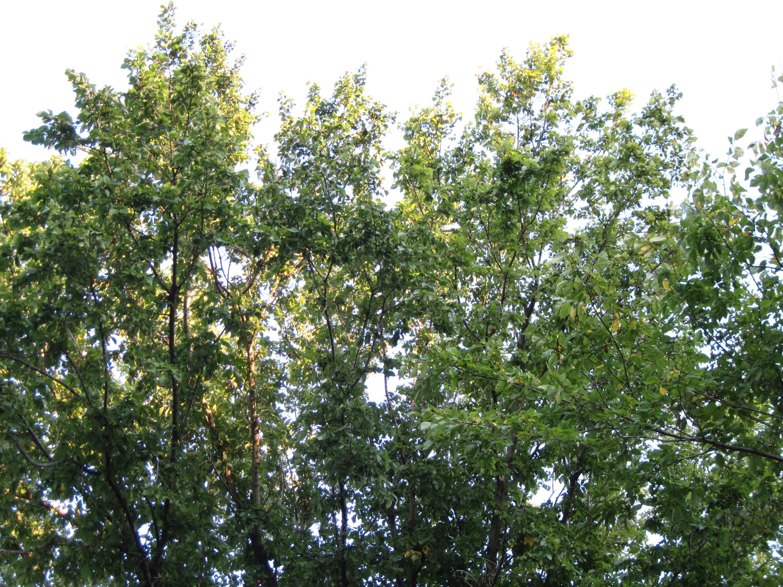 Moonprism First Blog Post