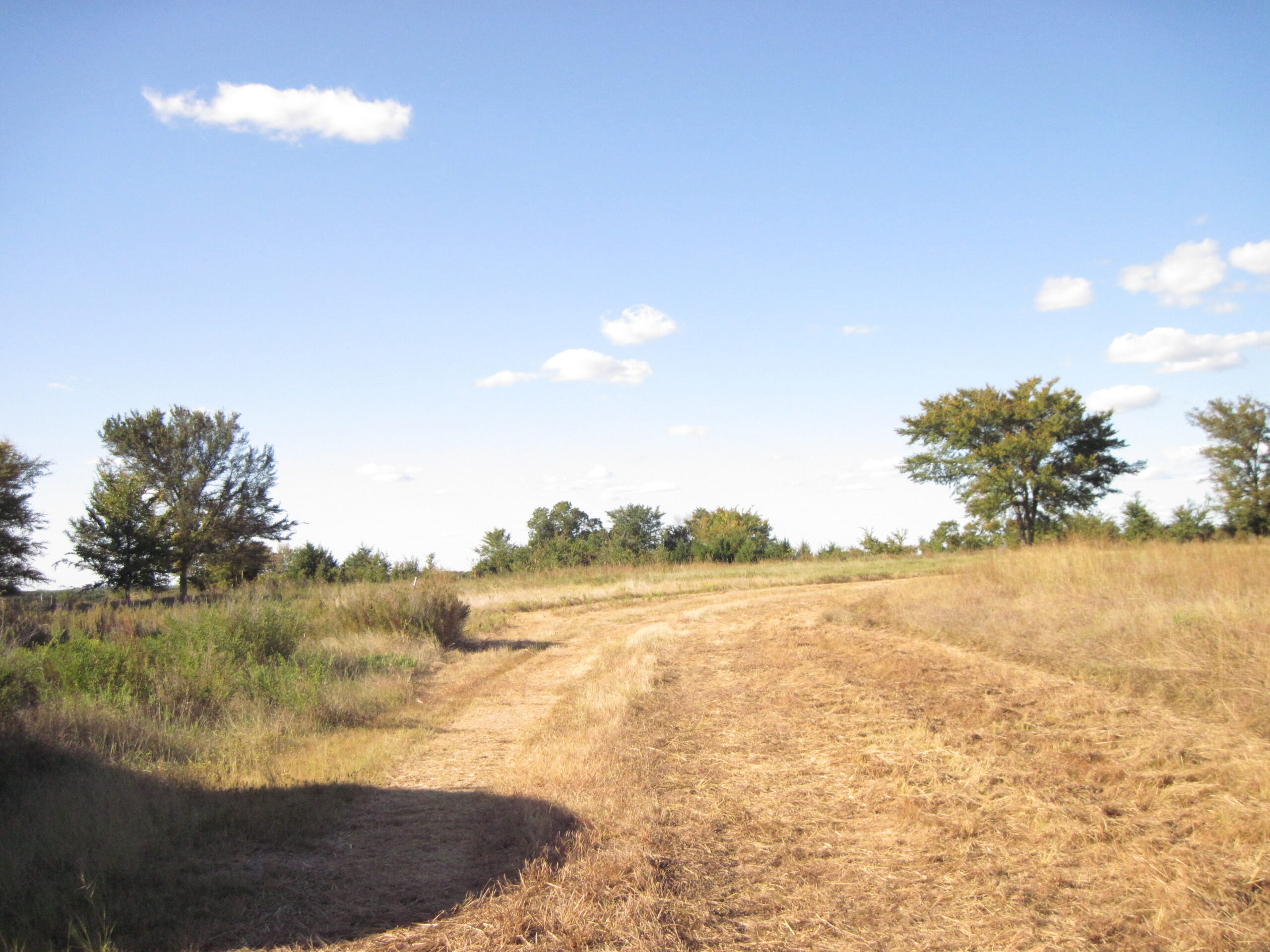 49 Color Presets: Find Your Perfect Aesthetic