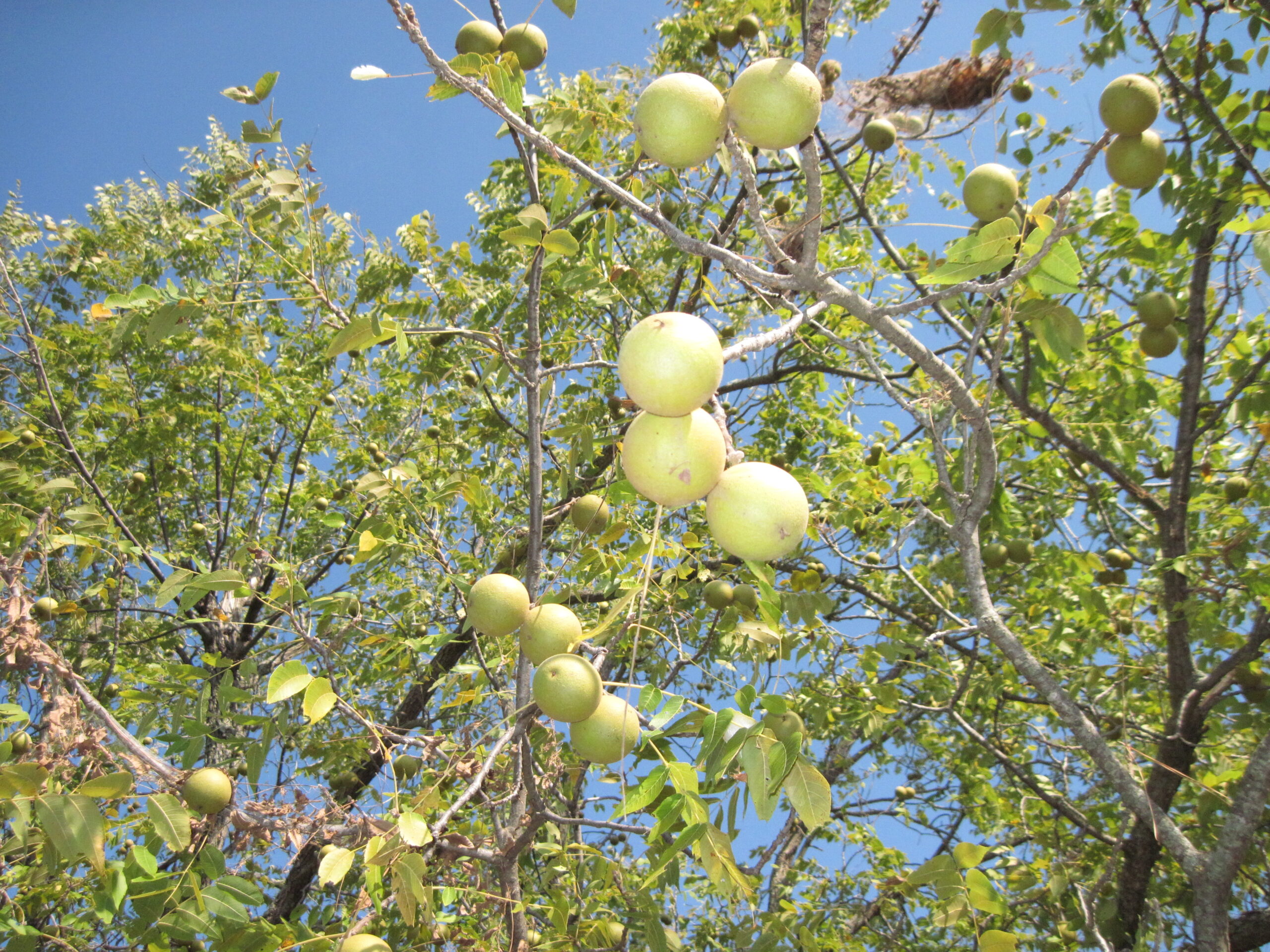 49 Color Presets: Find Your Perfect Aesthetic