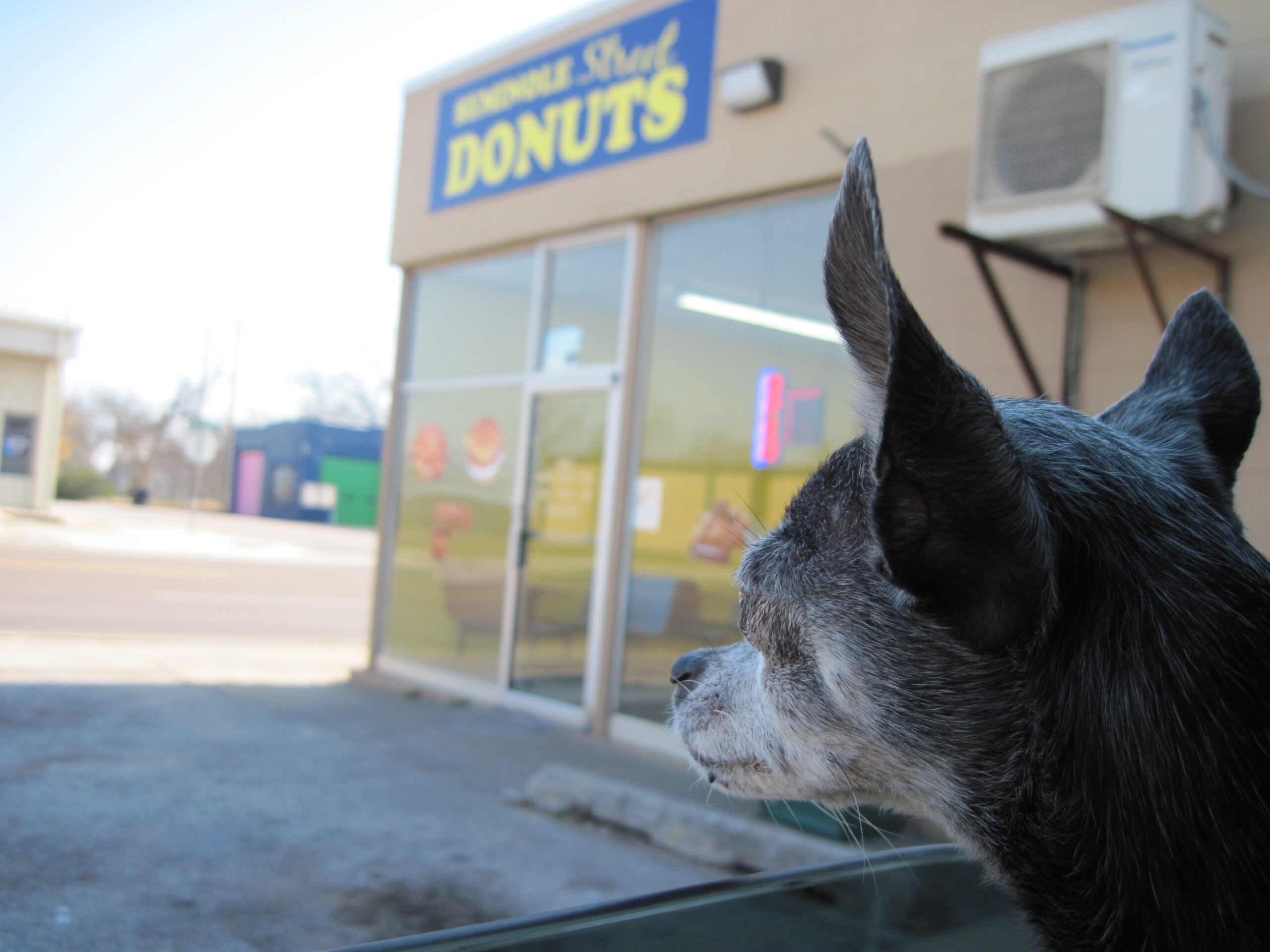 49 Color Presets: Find Your Perfect Aesthetic