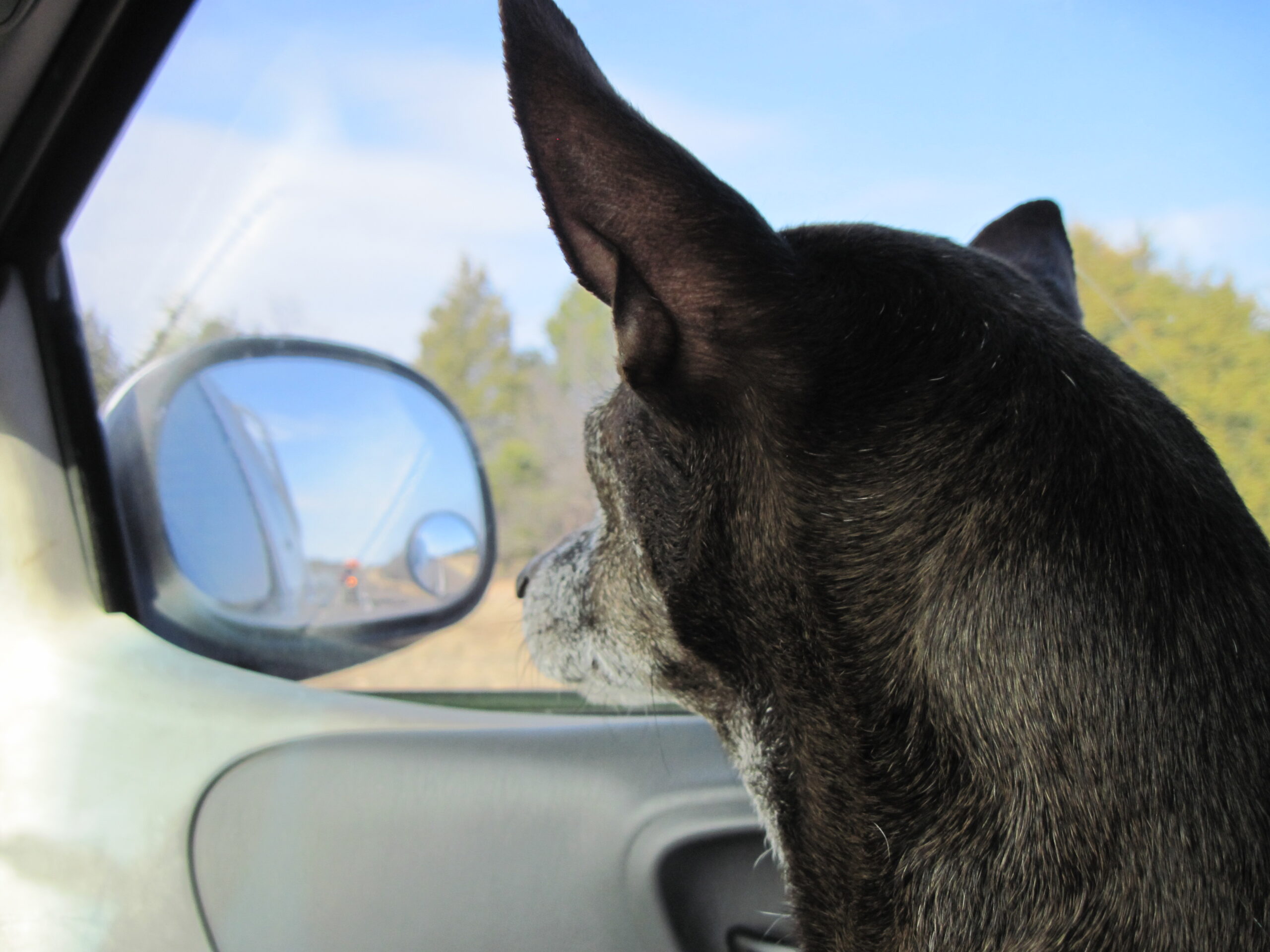 Chrome Text Effects: Animated Metallic Typography