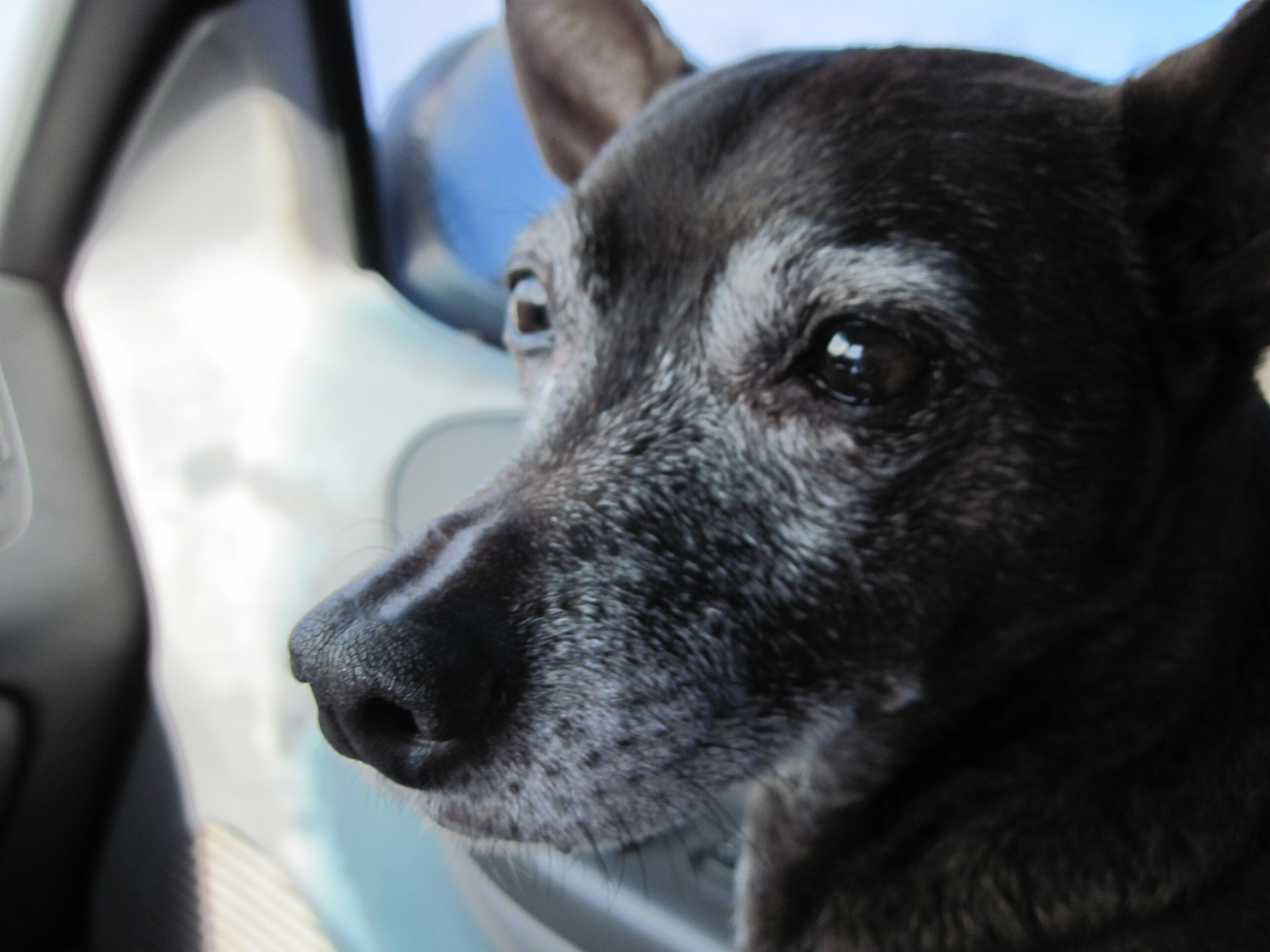 Chrome Text Effects: Animated Metallic Typography